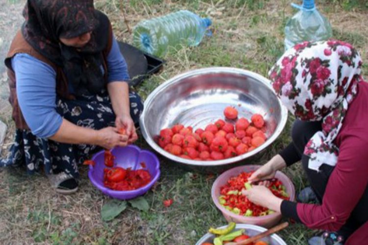 Bingöl'de üreticilerin kış hazırlığı