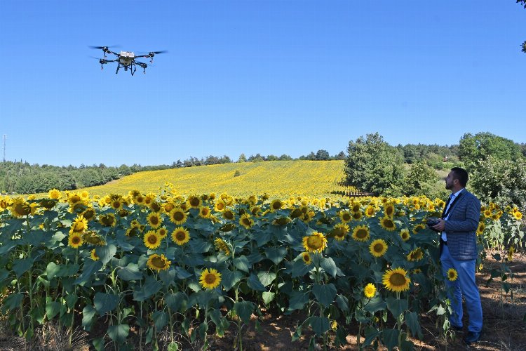 Bursa Kestel’de 'çayır tırtılı'na drone önlemi