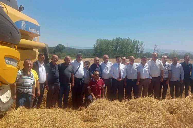 Bursa Mudanya'da buğday hasadı gerçekleşti