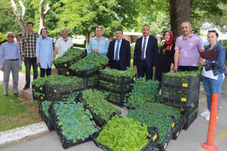 Bursa'nın Ata Tohumları Yenişehir'de fidelendi