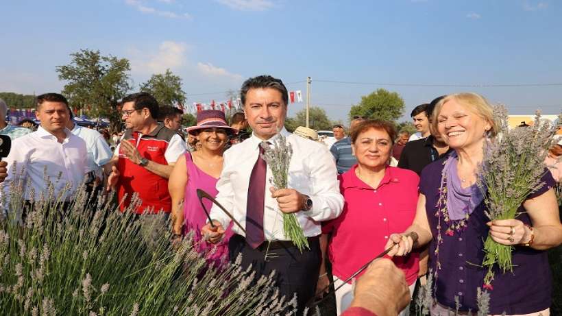 Büyükşehir Lavanta Hasat Şenliği İle Üretici ve Vatandaşları Bir Araya Getirdi