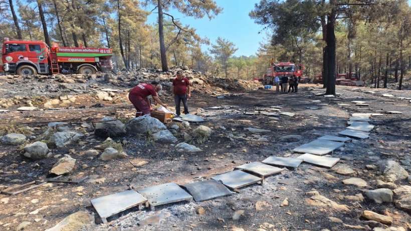 Büyükşehir Orman Yangınları Sonrası Üreticinin Yanında