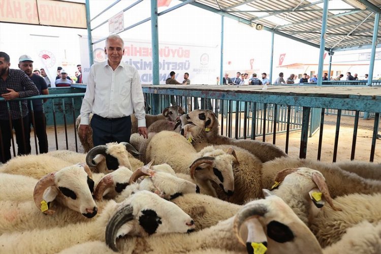 Çiftçiye Küçükbaş Hayvan Yıkama Makinesi” desteği