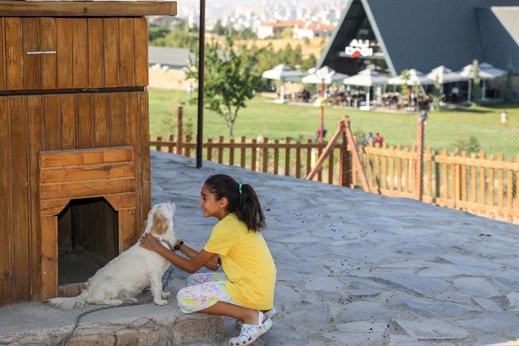 Çocuklara '360 Mini Çiftlik'te' hayvan sevgisi aşılanıyor