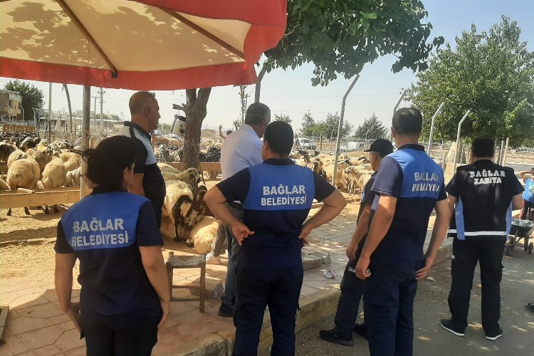 Diyarbakır Bağlar'da kaçak hayvan pazarına yıkım!