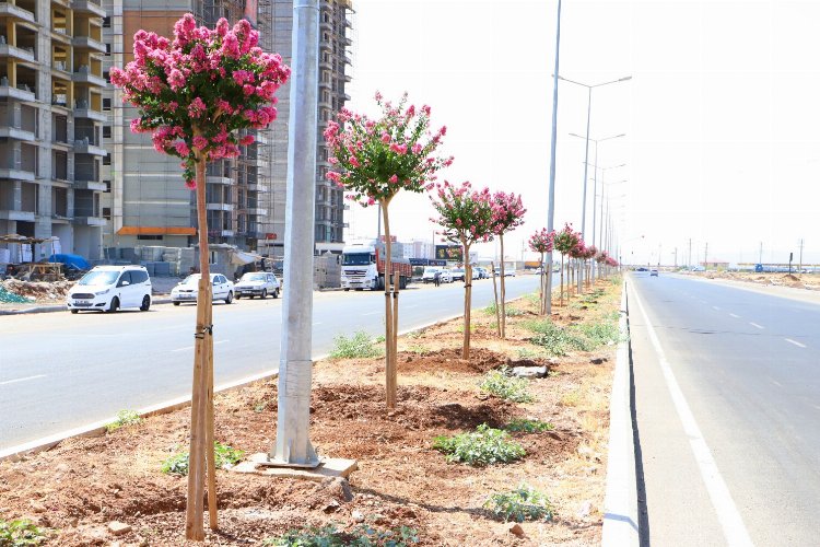 Diyarbakır’ın caddeleri 'Oya' gibi işlendi