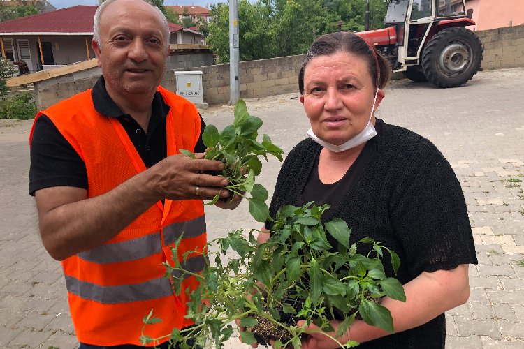 Edirne'de Süloğlu Belediyesi 5 bin sebze fidesi dağıttı