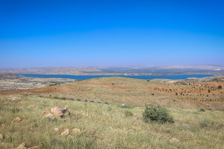 Gaziantep Nizip'in konut ihtiyacına 'Fıstık' gibi çözüm