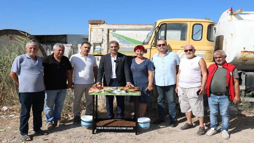 Gemlik Belediyesi: Tedavi Et, Sahiplendir, Yaşat