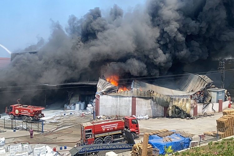 Hatay Arsuz'da antrepo yangınına müdahale sürüyor