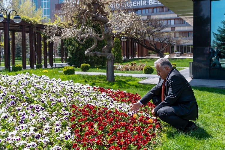 Kayseri Büyükşehir'den bahçe yarışması