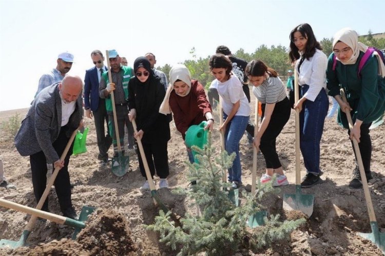 Kayseri Kocasinan'da fidanlar dikildi 