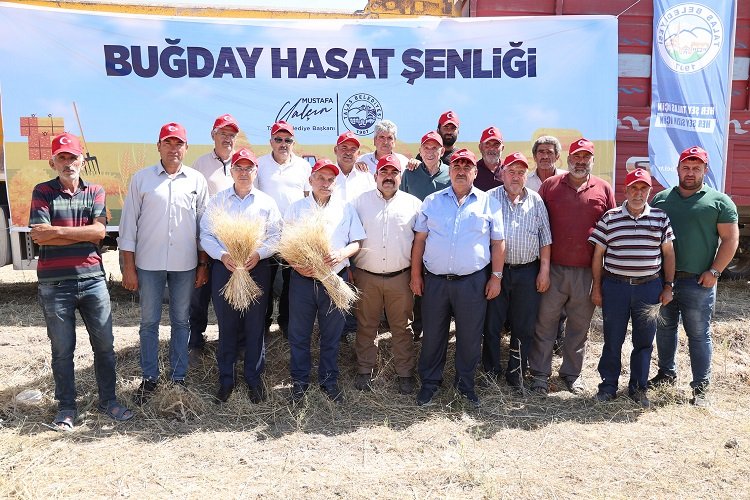 Kayseri Talas'ta hasat vakti