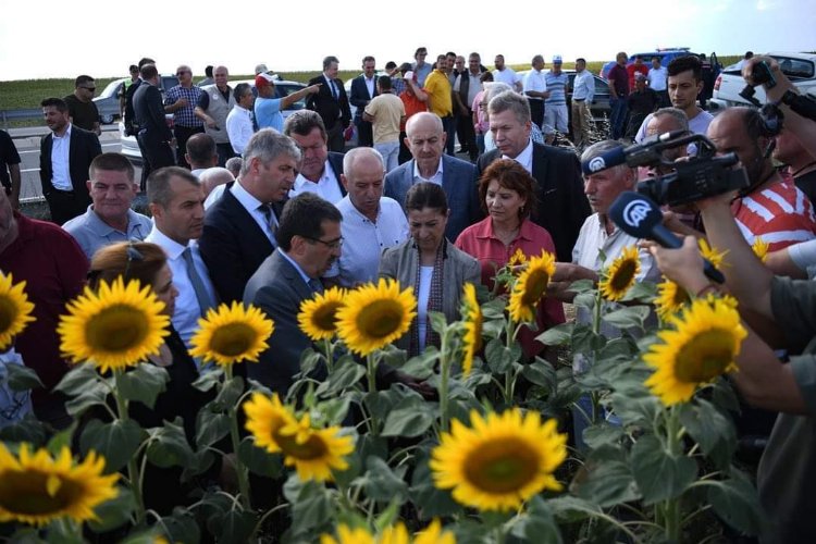 Keşan’da çayır tırtılı istilası