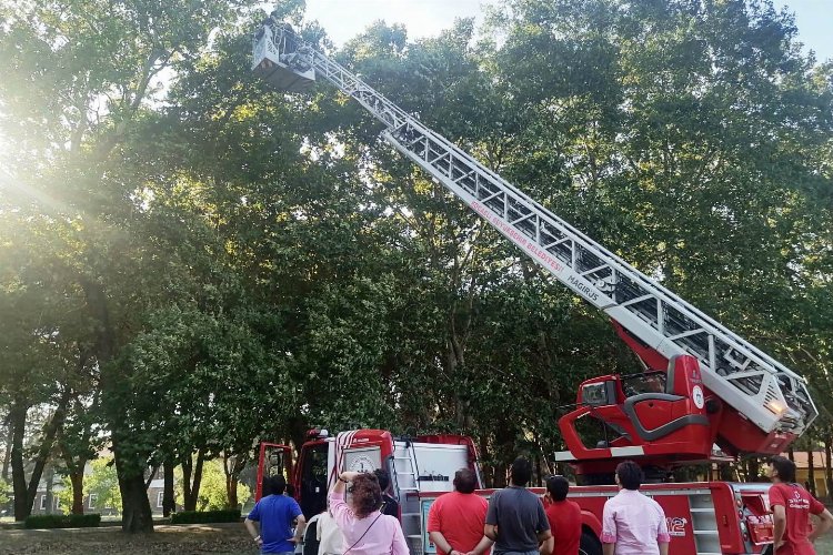 Kocaeli'de ağaçta kalan İHA’yı itfaiye kurtardı