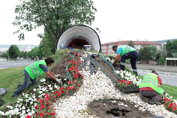 Kütahya'da çiçeksiz refüj kalmayacak