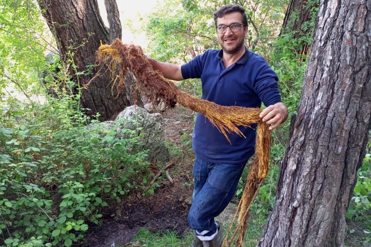 Manisa'da içme suyu hattından metrelik kunduz çıktı 