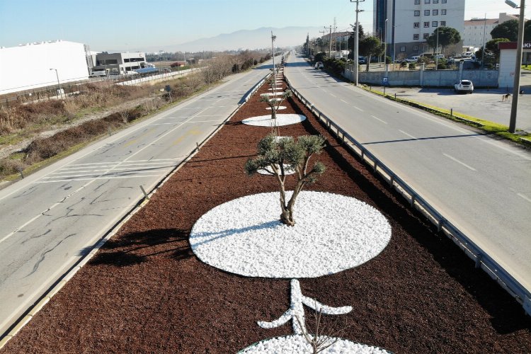 Manisa'da susuz peyzajlar kaynakları koruyor