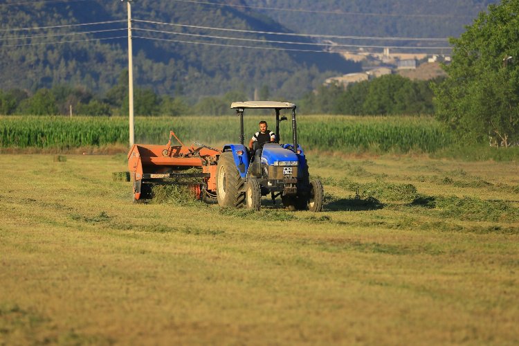 Muğla'da üreticiye ücretsiz hayvan yemi