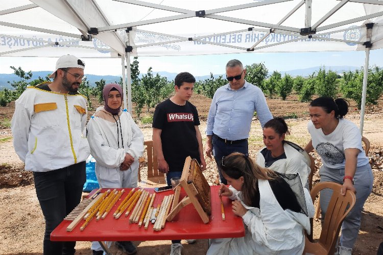 Muğla Büyükşehir’den, Dünya Arı Günü’nde farkındalık etkinlikleri