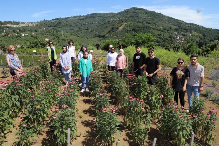 Ordu tarımda ilklere imza atıyor