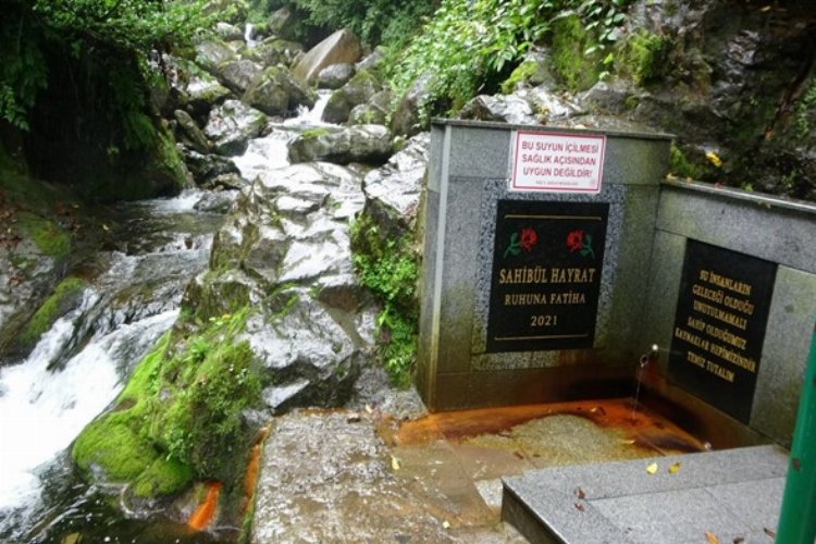 Rize'de şok! Sağlıklı diye içiliyordu...