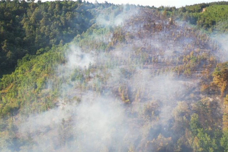 Sakarya Adapazarı'ndaki yangın kontrol altına alındı