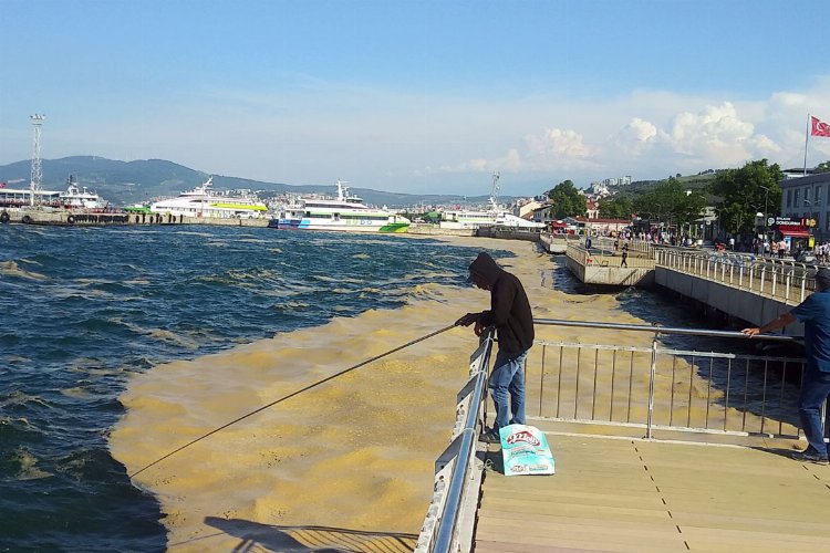 TBMM Genel Kurulu'nda yasalaştı... Müsilajla mücadelede yeni dönem