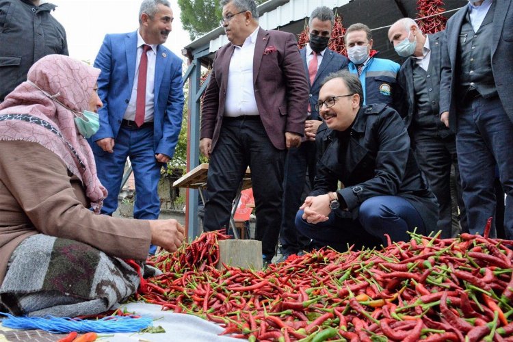 Bilecik'te 6 ayda 2 bin 561 çiftçiye destek verildi