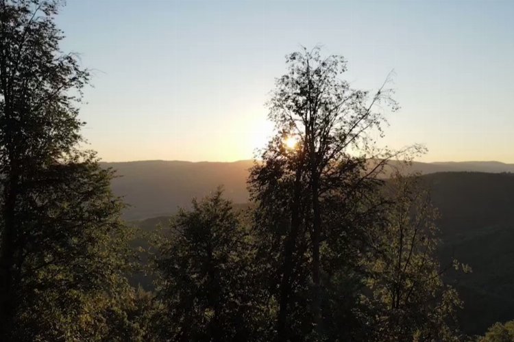 Bursa'da yaban hayatı fotokapanlara yansıdı