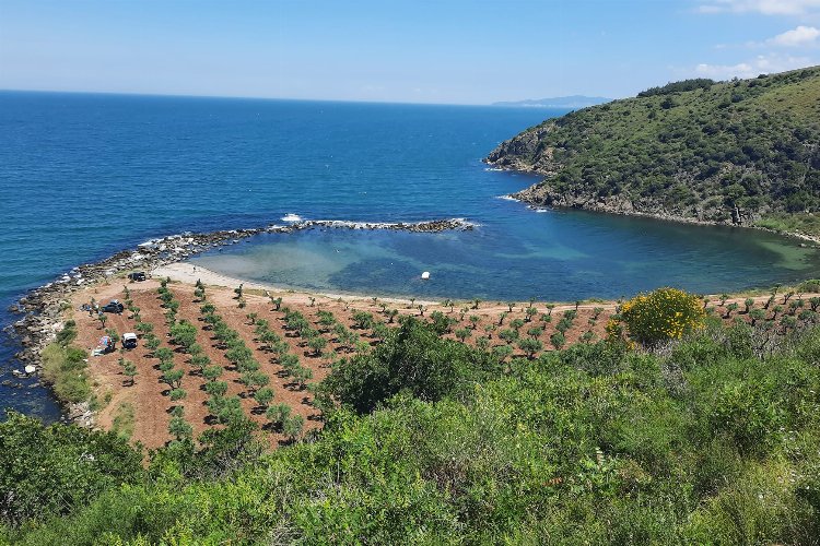 Bursa Mudanya'da 'Rota Myrleia' için ilk keşif yapıldı