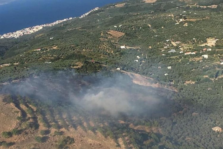 Bursa Mudanya'nın Çepni kırsalında orman yangını