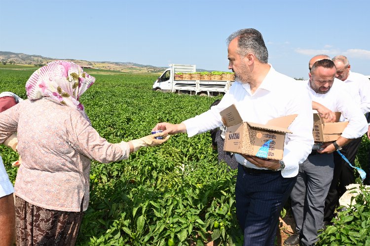 Bursa Yenişehir'de tarlada serinleten ziyaret