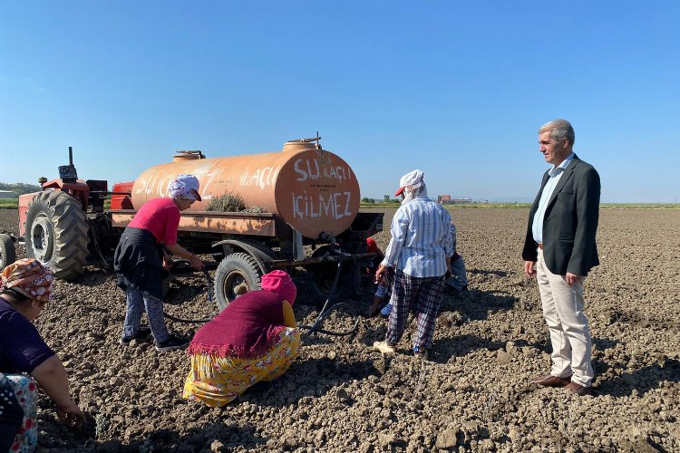 Edirne İpsala'da çiçek üreticiliği başlıyor 