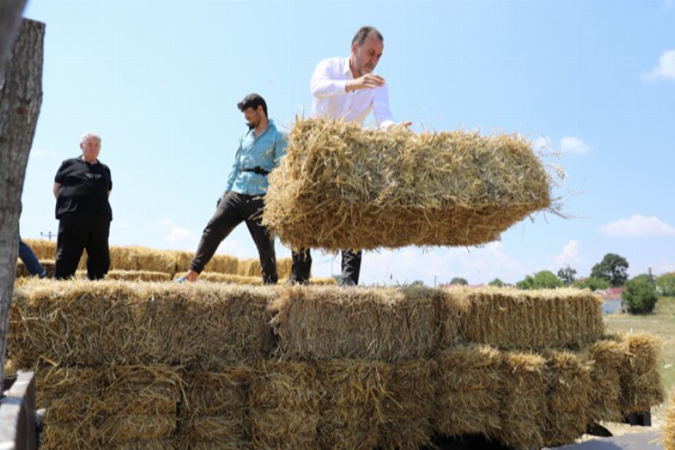 İstanbul Silivri'de üreticiler çifte bayram yaptı