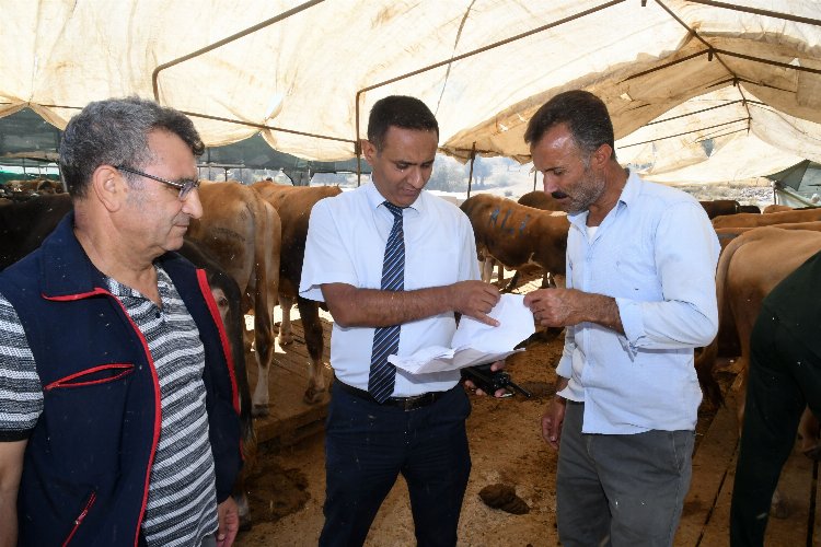 İzmir Karabağlar'da kurban satış yerlerine denetim