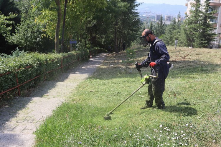 Kocaeli İzmit'te tırpan mesaisi