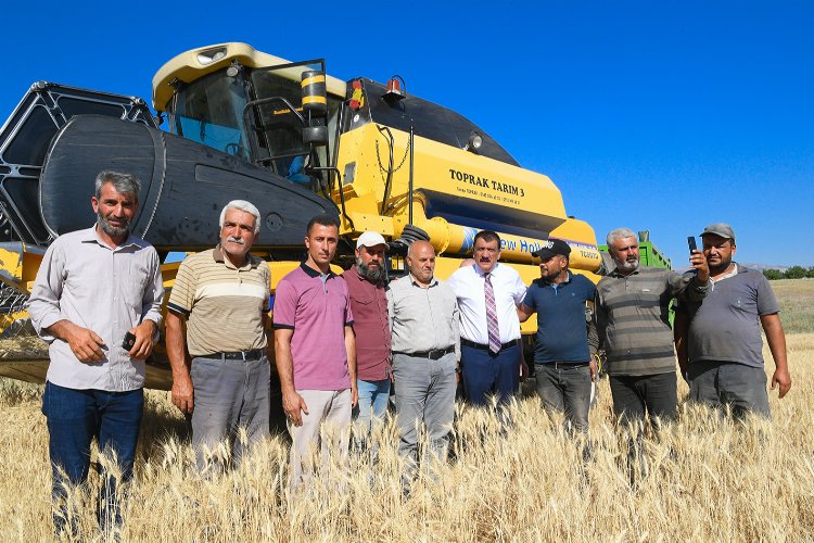 Malatya'da çiftçilere dağıtılan tohumlar hasatta