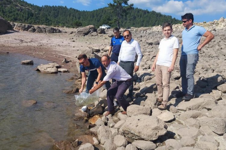 Manisa göletlerine 8 bin yavru sazan bırakıldı