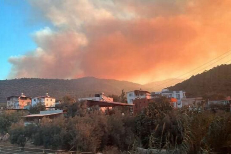 Mersin'de orman yangınına müdahale sürüyor