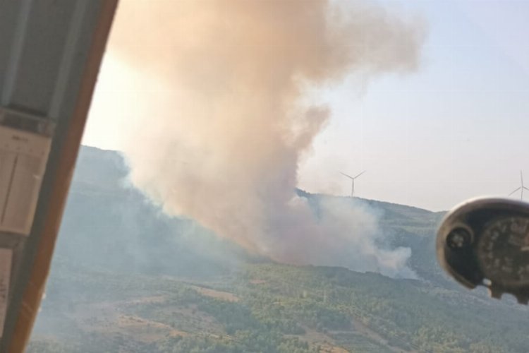 Meteoroloji uyarmıştı, korkulan oldu... Aydın Söke'de orman yangını!