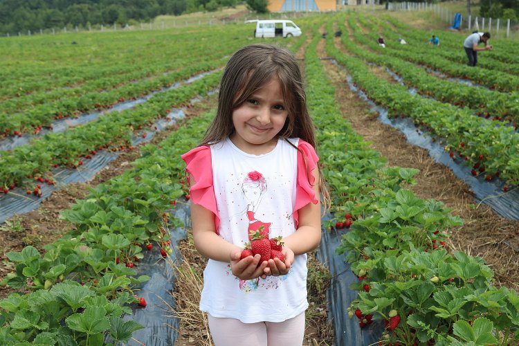 Sakarya'da genç kuşağa 'tarım' aşısı